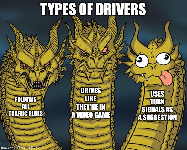 so true | TYPES OF DRIVERS; DRIVES LIKE THEY'RE IN A VIDEO GAME; USES TURN SIGNALS AS A SUGGESTION; FOLLOWS ALL TRAFFIC RULES | image tagged in three-headed dragon | made w/ Imgflip meme maker