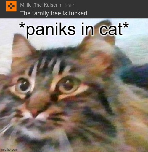 I haz new template | image tagged in cat panic | made w/ Imgflip meme maker