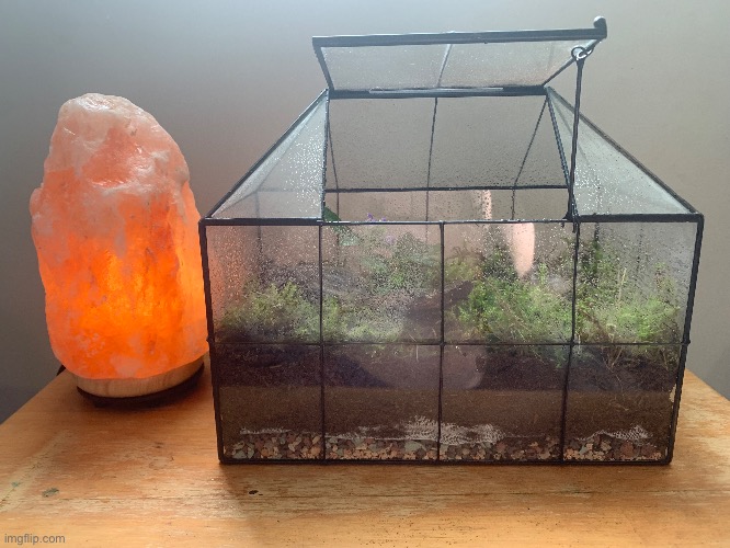 :D | made w/ Imgflip meme maker