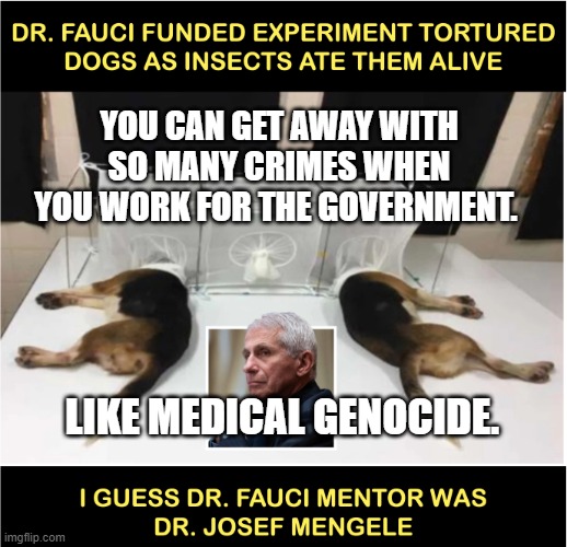 Fauci torturing dogs | YOU CAN GET AWAY WITH SO MANY CRIMES WHEN YOU WORK FOR THE GOVERNMENT. LIKE MEDICAL GENOCIDE. | image tagged in fauci torturing dogs | made w/ Imgflip meme maker