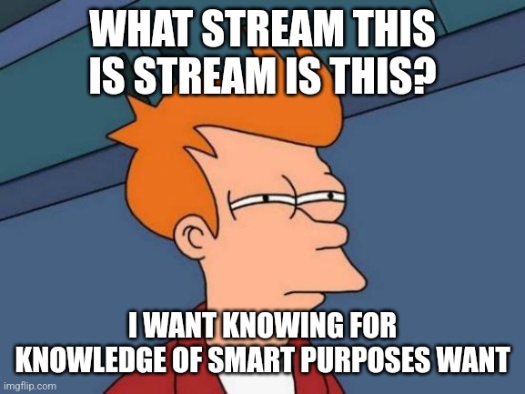 Futurama Fry | WHAT STREAM THIS IS STREAM IS THIS? I WANT KNOWING FOR KNOWLEDGE OF SMART PURPOSES WANT | image tagged in memes,futurama fry | made w/ Imgflip meme maker