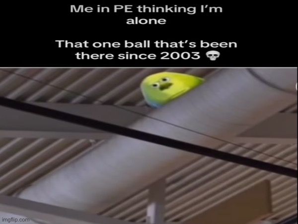 That one ball | image tagged in school,class,ball | made w/ Imgflip meme maker