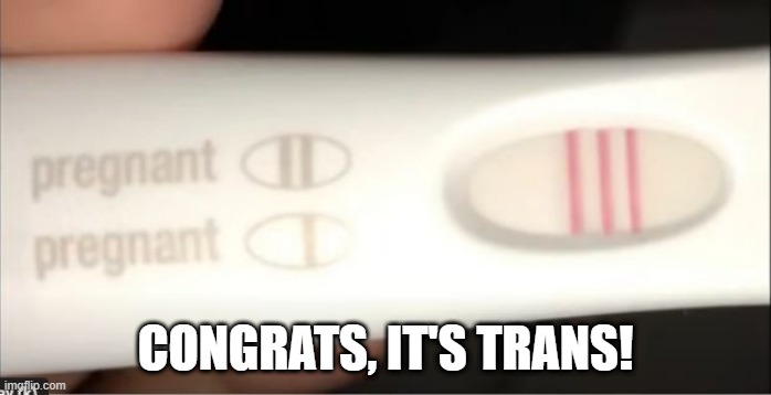 3 Bars | CONGRATS, IT'S TRANS! | image tagged in you had one job | made w/ Imgflip meme maker