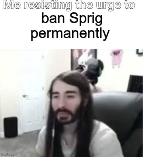 After what ive seen of them in other streams, im very tempted to do so. I will not let them taint our beloved stream. | ban Sprig permanently | image tagged in me resisting the urge to x | made w/ Imgflip meme maker