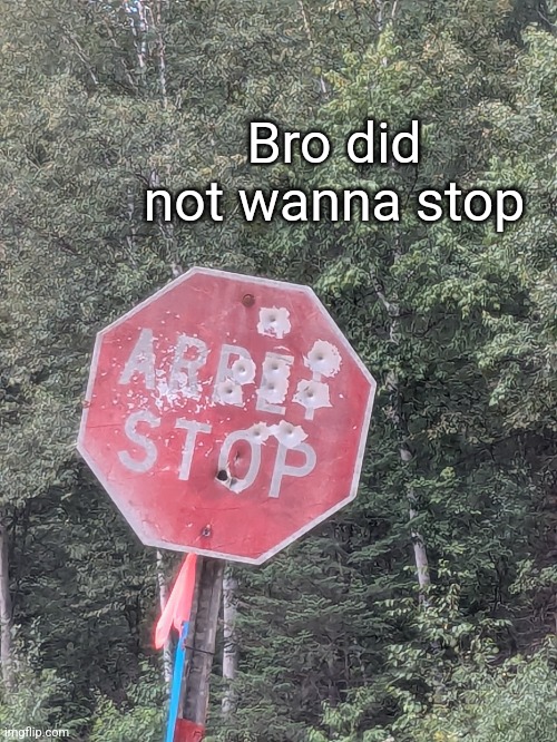 Bro did not wanna stop | made w/ Imgflip meme maker