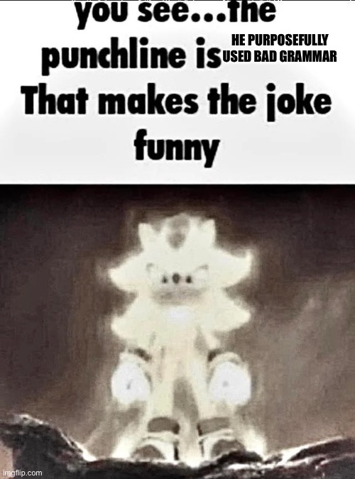 Shadow explains the joke | HE PURPOSEFULLY USED BAD GRAMMAR | image tagged in shadow explains the joke | made w/ Imgflip meme maker