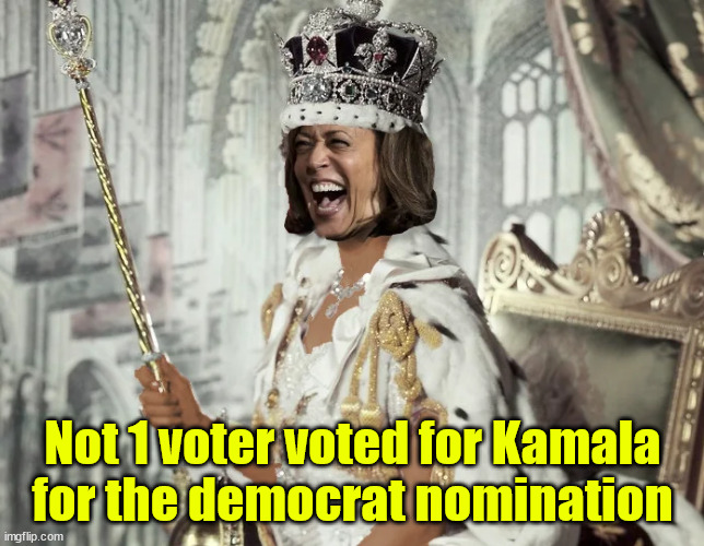 Not 1 voter voted for Kamala for the democrat nomination | made w/ Imgflip meme maker