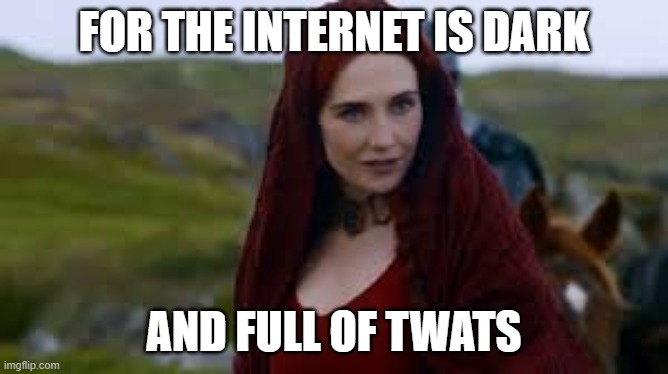 internet is dark | FOR THE INTERNET IS DARK; AND FULL OF TWATS | image tagged in the night is dark and full of terrors | made w/ Imgflip meme maker