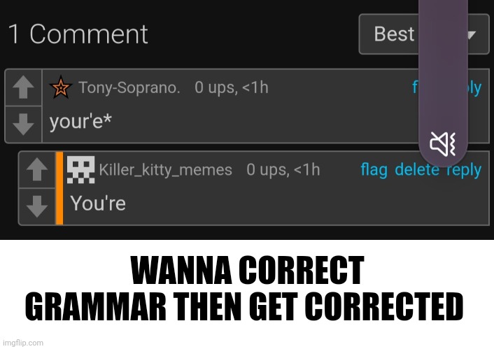 WANNA CORRECT GRAMMAR THEN GET CORRECTED | image tagged in memes,blank transparent square | made w/ Imgflip meme maker