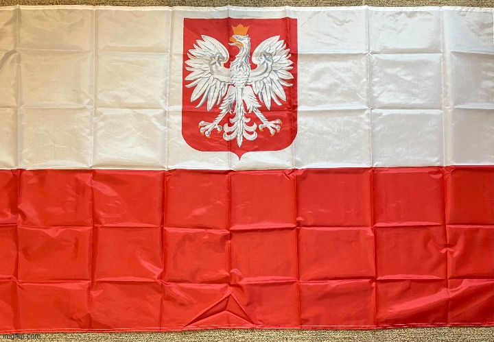 My Kingdom of Poland flag | image tagged in poland,flag | made w/ Imgflip meme maker