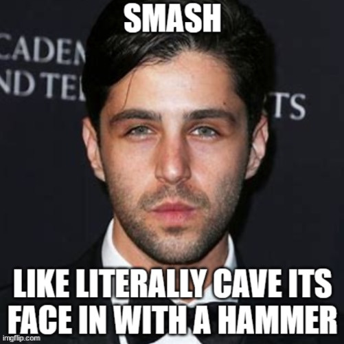 smash like literally kill it | image tagged in smash like literally kill it | made w/ Imgflip meme maker