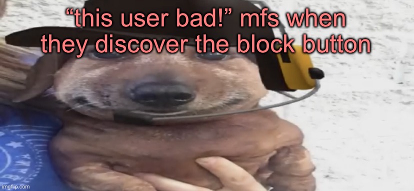 chucklenuts | “this user bad!” mfs when they discover the block button | image tagged in chucklenuts | made w/ Imgflip meme maker