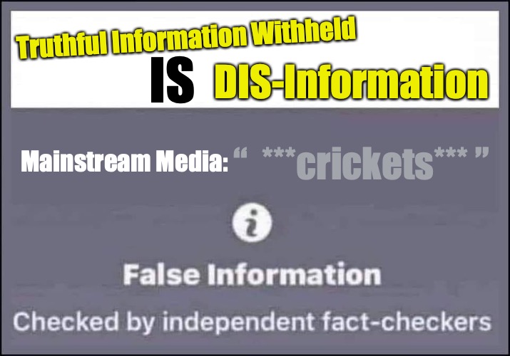 "It's not what you said; it's what you didn't say." | Truthful Information Withheld; DIS-Information; IS; “  ***crickets*** ”; Mainstream Media: | image tagged in false information checked by independent fact-checkers,journalism,biased media,truth | made w/ Imgflip meme maker