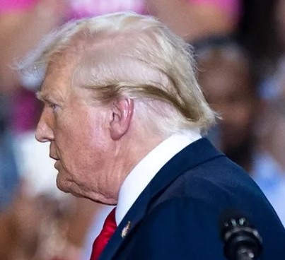 Greasy Hair Trump Blank Meme Template