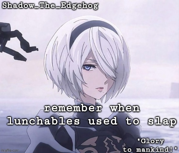 Shadow's 2B Template | remember when lunchables used to slap | image tagged in shadow's 2b template | made w/ Imgflip meme maker