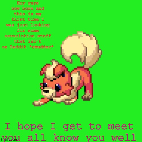 Helllooo | Hey guys new here and this is my first time I was just looking for some eeveelution stuff that isn’t on Reddit *shudder*; I hope I get to meet you all know you well | image tagged in rockytheflareon temp | made w/ Imgflip meme maker