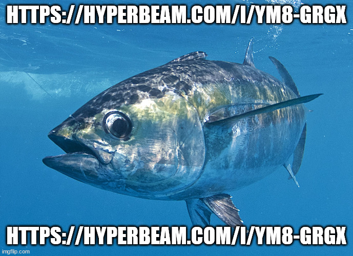 Tuna fish | HTTPS://HYPERBEAM.COM/I/YM8-GRGX; HTTPS://HYPERBEAM.COM/I/YM8-GRGX | image tagged in tuna fish | made w/ Imgflip meme maker