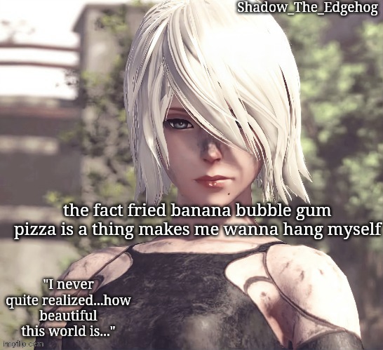 Shadow's A2 Template | the fact fried banana bubble gum pizza is a thing makes me wanna hang myself | image tagged in shadow's a2 template | made w/ Imgflip meme maker