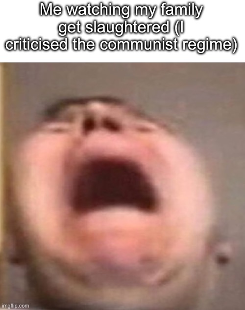 Communism is totalitarianism | Me watching my family get slaughtered (I criticised the communist regime) | image tagged in blank white template | made w/ Imgflip meme maker