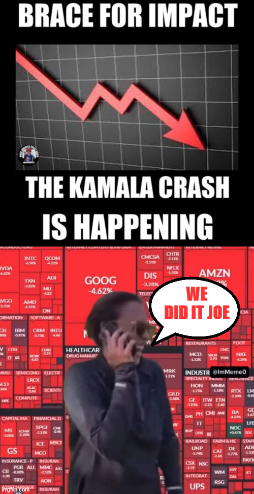 The kamalacrash is happening | WE DID IT JOE | image tagged in bidenomics sucks,financial world knows kamala is worse than biden | made w/ Imgflip meme maker