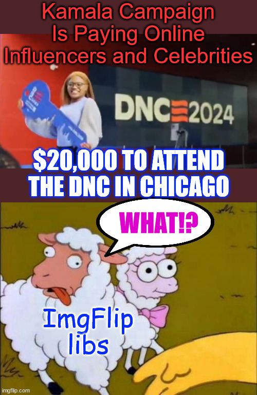 They think they're important... but they're not | Kamala Campaign Is Paying Online Influencers and Celebrities; $20,000 TO ATTEND THE DNC IN CHICAGO; WHAT!? ImgFlip libs | image tagged in disappointed,sheeple,did not get invited | made w/ Imgflip meme maker