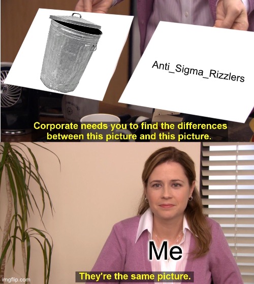 They're The Same Picture | Anti_Sigma_Rizzlers; Me | image tagged in memes,they're the same picture | made w/ Imgflip meme maker