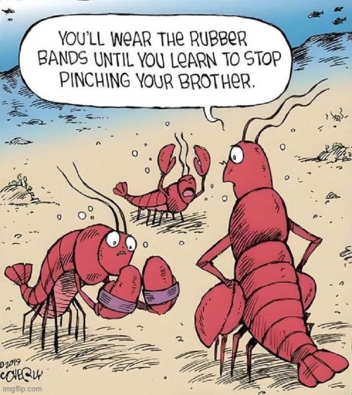 How the Rubber Bands Originated | image tagged in vince vance,lobster,cartoons,pinching,claws,rubber bands | made w/ Imgflip meme maker