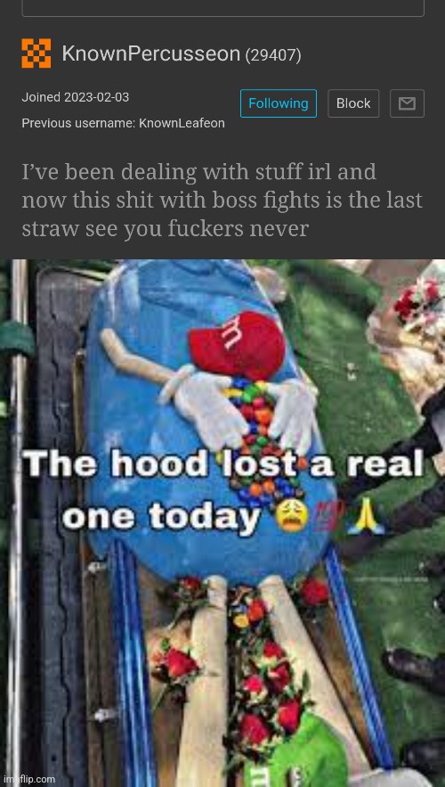 Bye, buddy... | image tagged in the hood lost a real one today | made w/ Imgflip meme maker