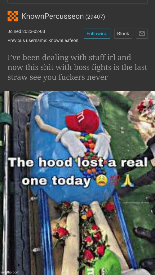 image tagged in the hood lost a real one today | made w/ Imgflip meme maker