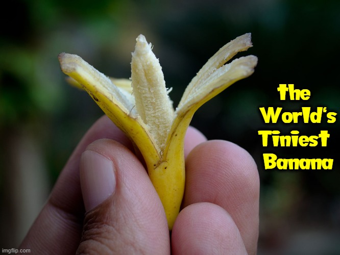 the 
World's
Tiniest 
Banana | made w/ Imgflip meme maker