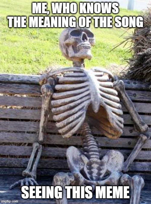 Waiting Skeleton Meme | ME, WHO KNOWS THE MEANING OF THE SONG SEEING THIS MEME | image tagged in memes,waiting skeleton | made w/ Imgflip meme maker