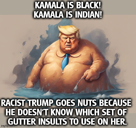 KAMALA IS BLACK!
KAMALA IS INDIAN! RACIST TRUMP GOES NUTS BECAUSE 
HE DOESN'T KNOW WHICH SET OF 
GUTTER INSULTS TO USE ON HER. | image tagged in kamala harris,multi racial,trump,confused,racist,insults | made w/ Imgflip meme maker