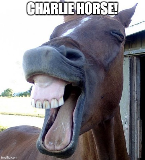 Funny Horse Face | CHARLIE HORSE! | image tagged in funny horse face | made w/ Imgflip meme maker