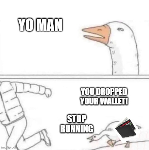 not all things are what they seem | YO MAN; YOU DROPPED YOUR WALLET! STOP RUNNING | image tagged in goose chase | made w/ Imgflip meme maker