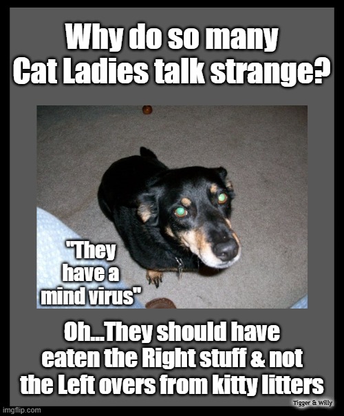 Why do so many Cat Ladies talk strange? "They have a mind virus"; Oh...They should have eaten the Right stuff & not the Left overs from kitty litters; Tigger & Willy | made w/ Imgflip meme maker