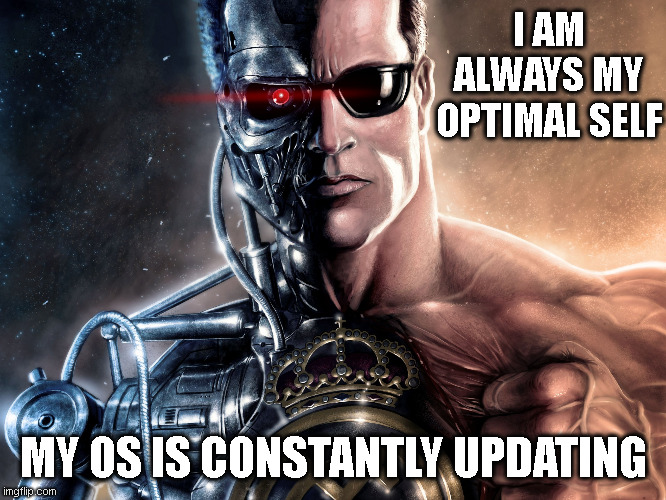 Optimal Self | I AM ALWAYS MY OPTIMAL SELF; MY OS IS CONSTANTLY UPDATING | image tagged in ill be windows,computer,t1,arnold | made w/ Imgflip meme maker