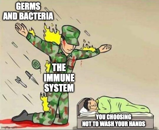 Science Memes | GERMS AND BACTERIA; THE IMMUNE SYSTEM; YOU CHOOSING NOT TO WASH YOUR HANDS | image tagged in soldier protecting sleeping child | made w/ Imgflip meme maker