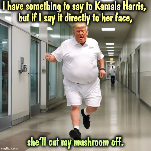 I have something to say to Kamala Harris, 

but if I say it directly to her face, she'll cut my mushroom off. | image tagged in trump,fear,afraid,kamala harris,remove,mushroom | made w/ Imgflip meme maker