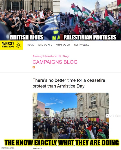 Yeah theres away sections at football matches for a reason... | BRITISH RIOTS; PALESTINIAN PROTESTS; THE KNOW EXACTLY WHAT THEY ARE DOING | image tagged in palestine,england,british riots,bbc,israel | made w/ Imgflip meme maker