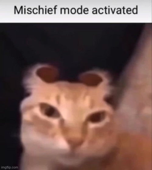 mischief mode activated | image tagged in mischief mode activated | made w/ Imgflip meme maker