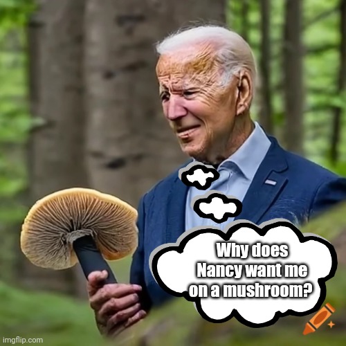 Biden with mushroom | Why does Nancy want me on a mushroom? | image tagged in biden with mushroom | made w/ Imgflip meme maker