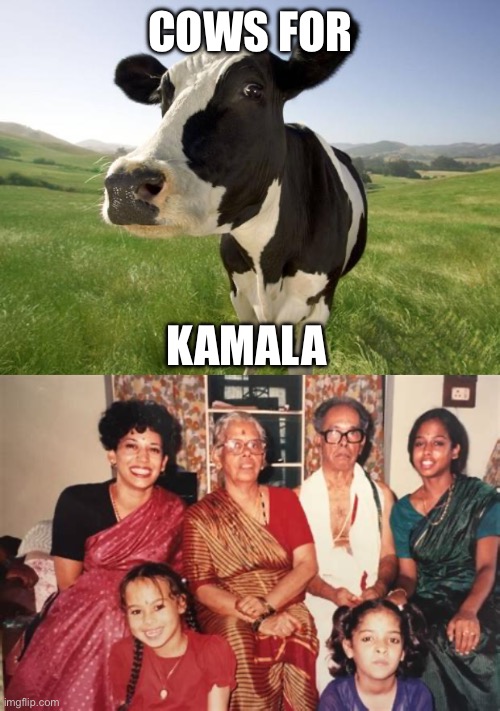 No burgers, steaks, prime rib or filets to be served at White House gala dinners? | COWS FOR; KAMALA | image tagged in cow,kamala,hindu,cows for,beef,sacred | made w/ Imgflip meme maker