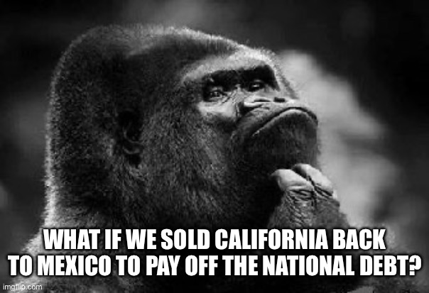 thinking monkey | WHAT IF WE SOLD CALIFORNIA BACK TO MEXICO TO PAY OFF THE NATIONAL DEBT? | image tagged in thinking monkey | made w/ Imgflip meme maker