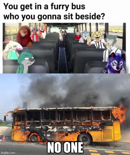 Hell naw | NO ONE | image tagged in anti furry,school | made w/ Imgflip meme maker