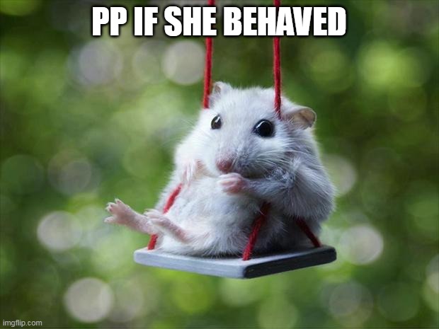 Mouse swing | PP IF SHE BEHAVED | image tagged in mouse swing | made w/ Imgflip meme maker