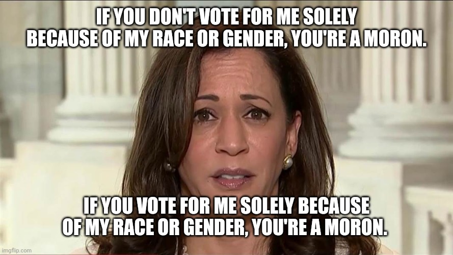 Voting for Kamala | IF YOU DON'T VOTE FOR ME SOLELY BECAUSE OF MY RACE OR GENDER, YOU'RE A MORON. IF YOU VOTE FOR ME SOLELY BECAUSE OF MY RACE OR GENDER, YOU'RE A MORON. | image tagged in kamala harris,trump,lgbtq,aoc,olympics | made w/ Imgflip meme maker