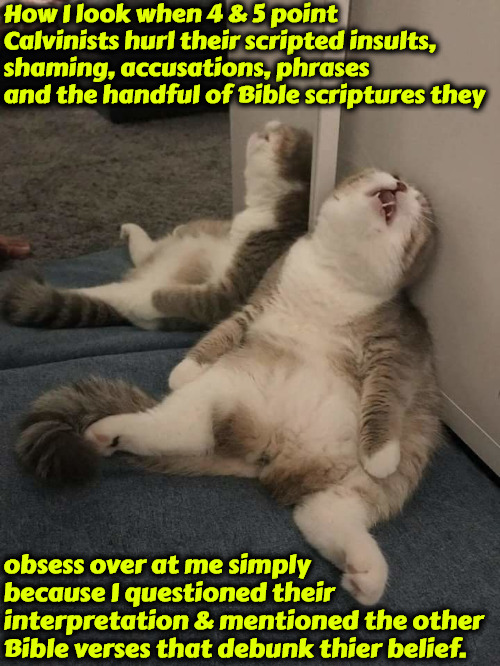 Brainwashed | How I look when 4 & 5 point Calvinists hurl their scripted insults, shaming, accusations, phrases and the handful of Bible scriptures they; obsess over at me simply because I questioned their interpretation & mentioned the other Bible verses that debunk thier belief. | image tagged in r/dankchristianmemes,christian,calvinism,arminian,reformed theology,brainwashed | made w/ Imgflip meme maker