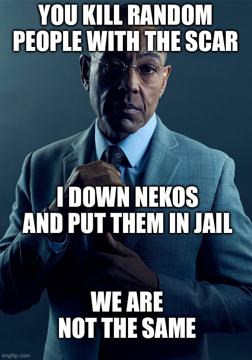 Ohio. game | YOU KILL RANDOM PEOPLE WITH THE SCAR; I DOWN NEKOS AND PUT THEM IN JAIL; WE ARE NOT THE SAME | image tagged in gus fring we are not the same | made w/ Imgflip meme maker