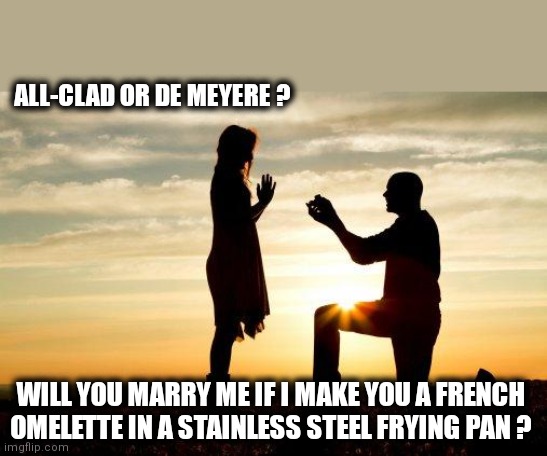 French omelette | ALL-CLAD OR DE MEYERE ? WILL YOU MARRY ME IF I MAKE YOU A FRENCH OMELETTE IN A STAINLESS STEEL FRYING PAN ? | image tagged in marry me | made w/ Imgflip meme maker