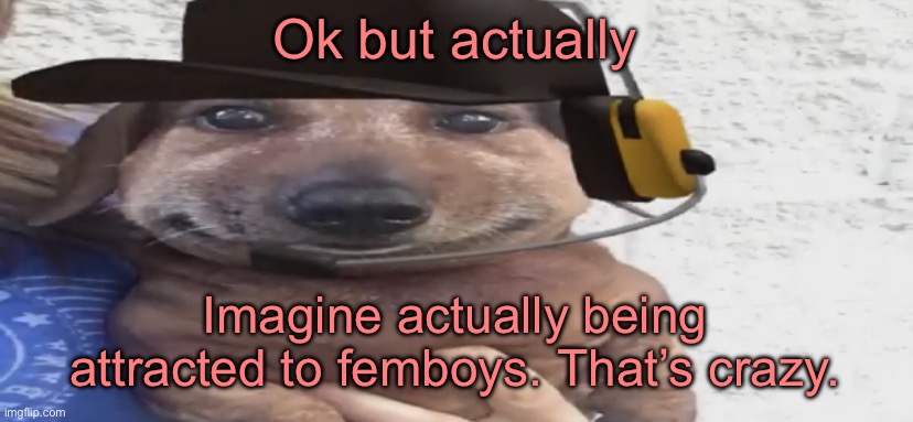 L you | Ok but actually; Imagine actually being attracted to femboys. That’s crazy. | image tagged in chucklenuts | made w/ Imgflip meme maker